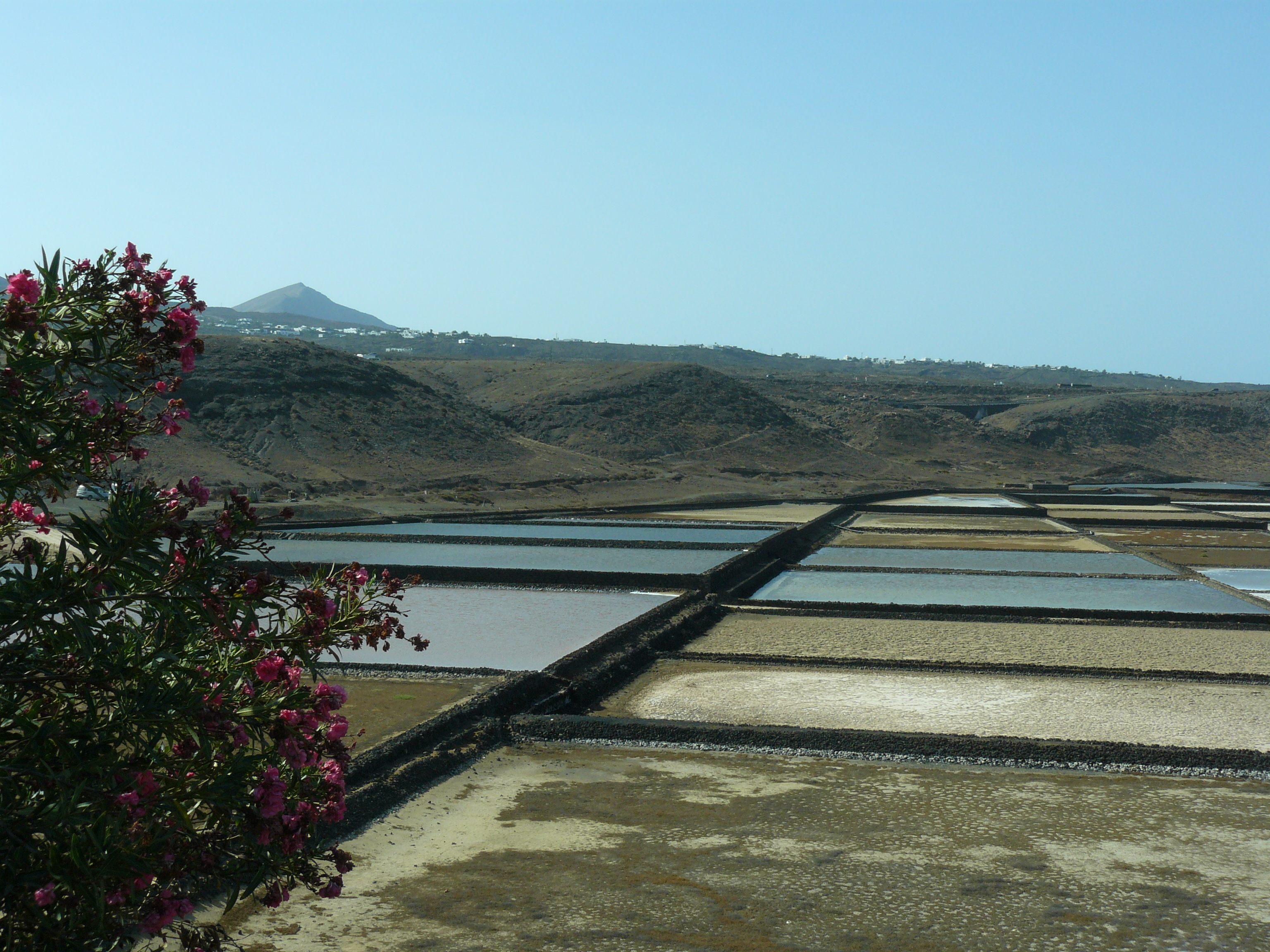 Les salines de Janubia