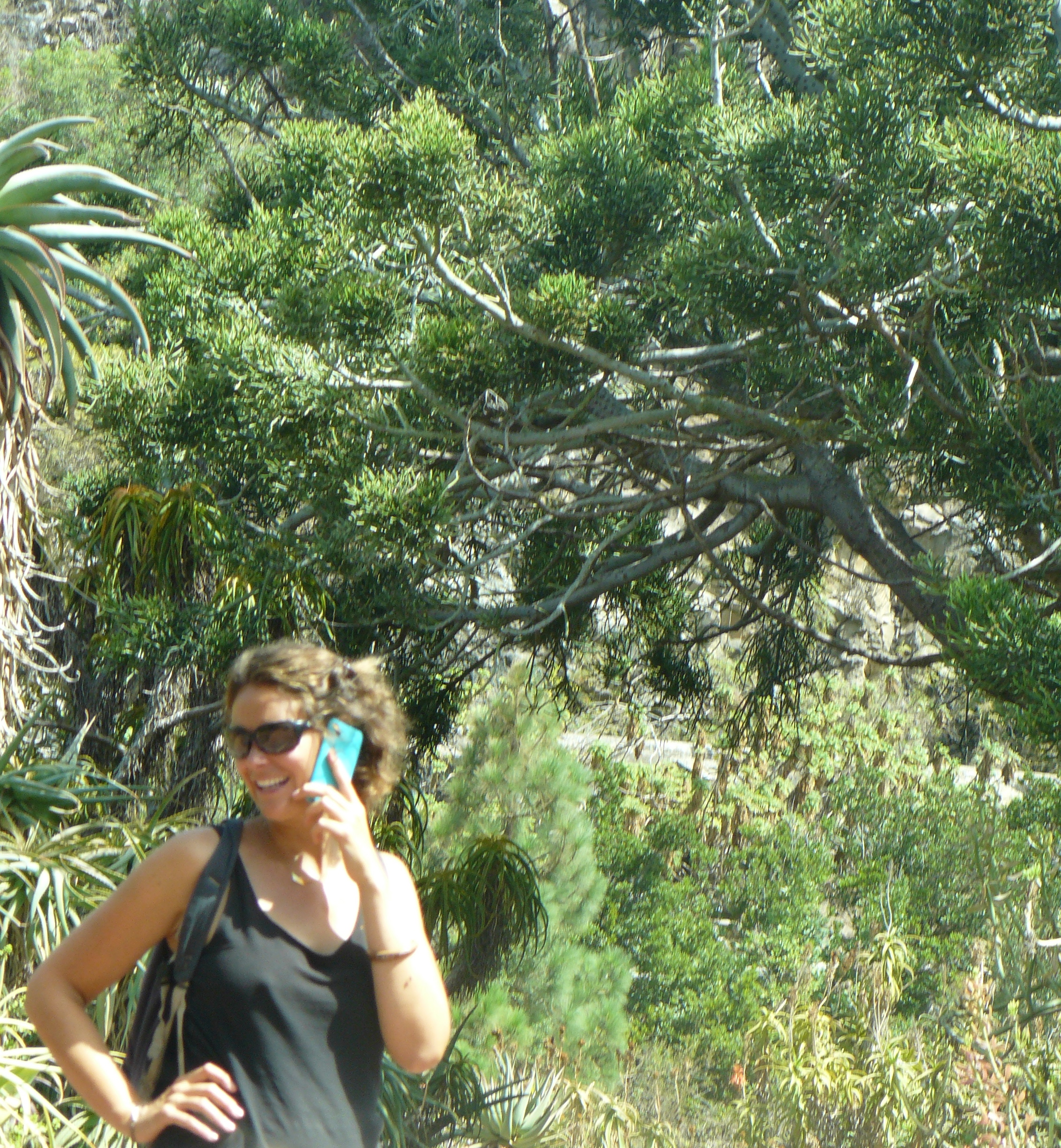 jardin botanique las palmas