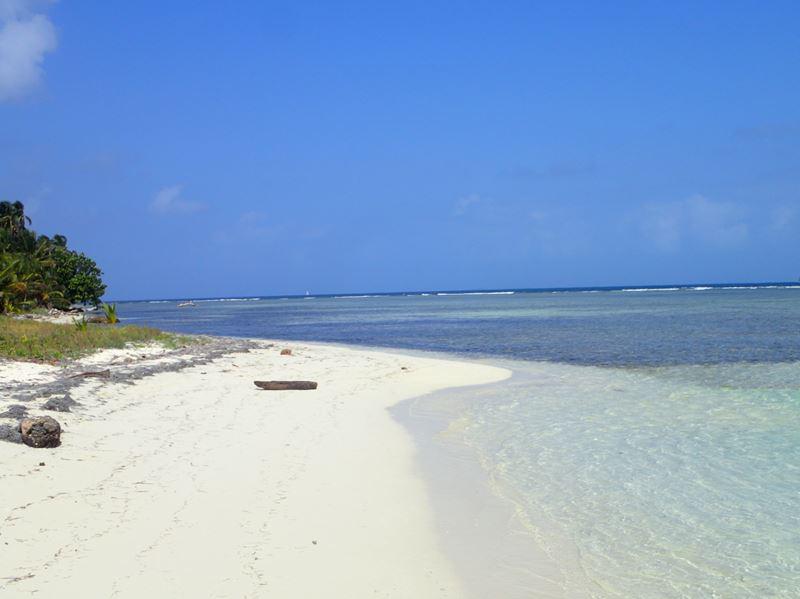 Featured image of post Février 2018 :Les San Blas