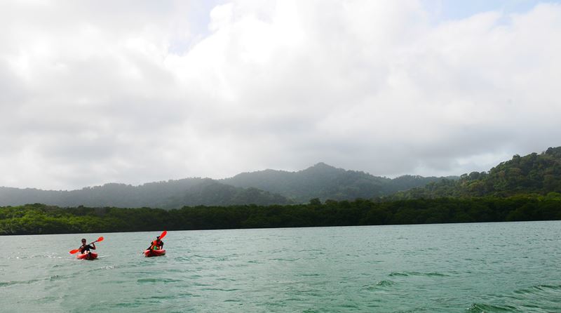 dans l&rsquo;immensité de la nature