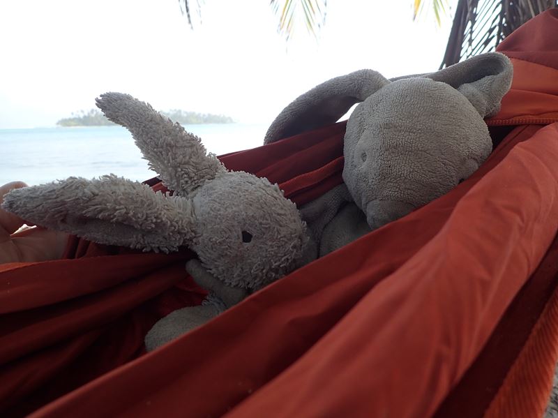 Dure vie pour les doudous