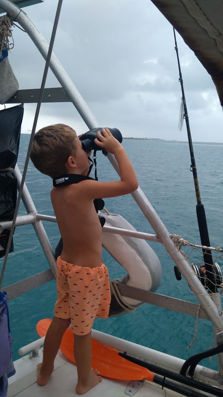 Guigui fait la veille