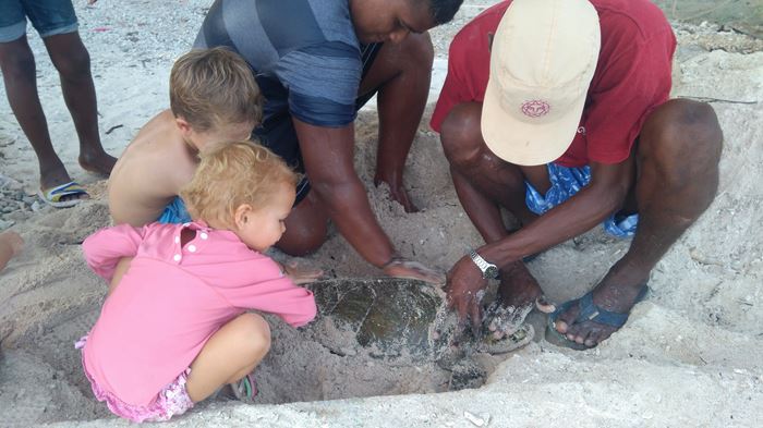 On apprend a laver les tortues