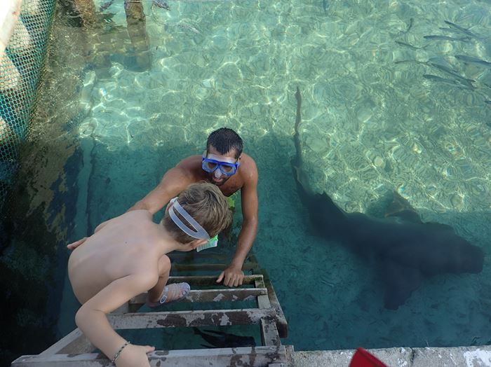 visite d&rsquo;un aquarium naturel