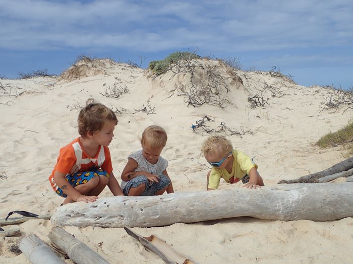 les 3 inséparables :)