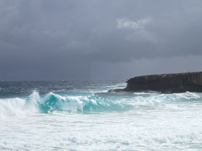 superbe grain qques minutes apres