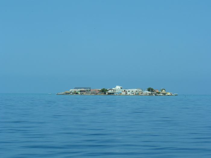 Micro ile surpeuplée !!