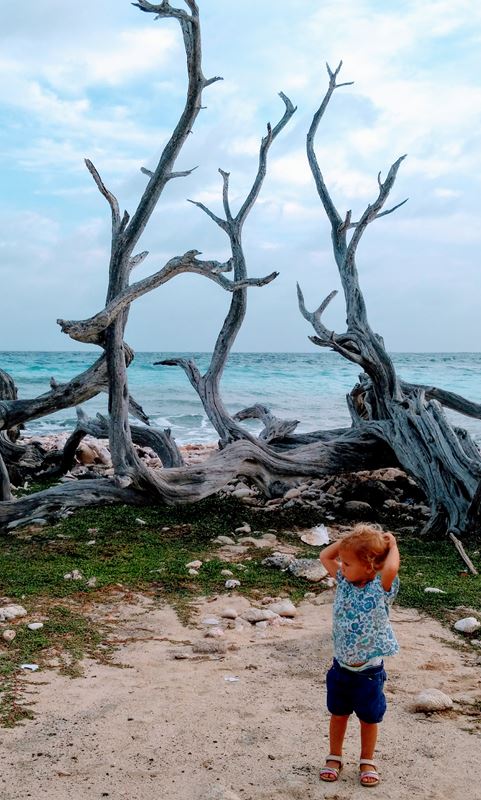 mouaiiis , suis belle la ??