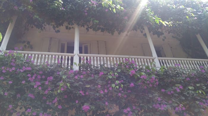 maisons au balcon fleuri