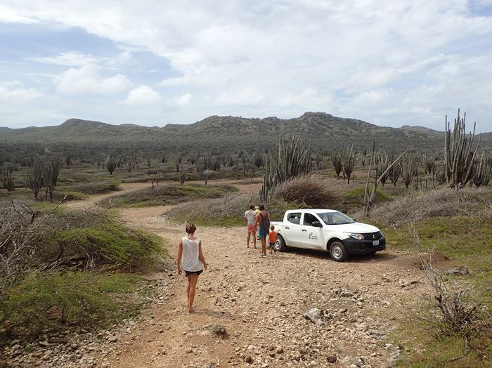 C&rsquo;est parti, visite de l&rsquo;île