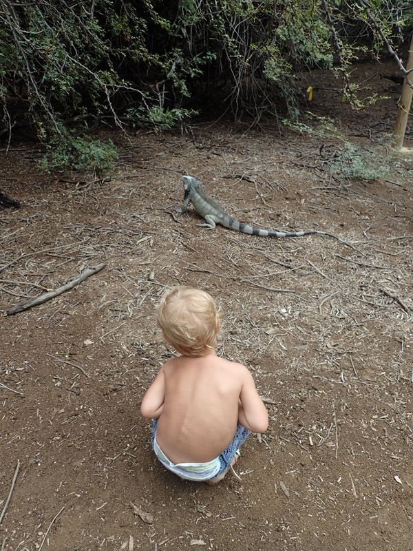 Fifi l&rsquo;amie des bêtes