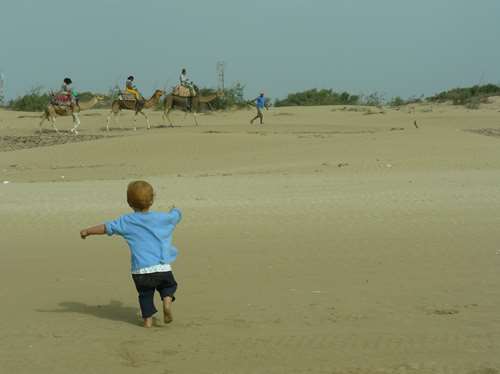 des chameauuuuuuuux !!