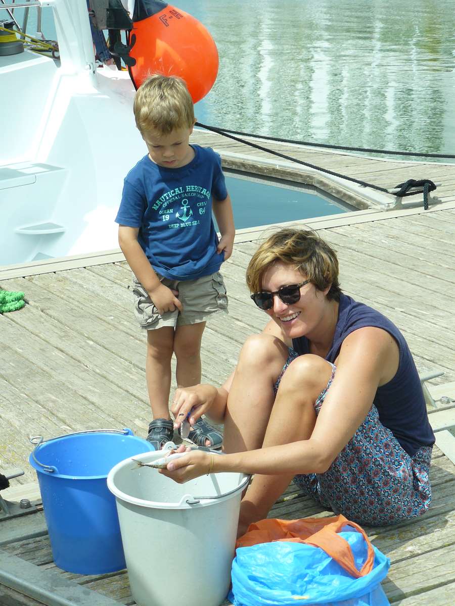 marine et les sardines