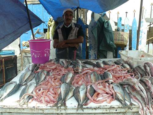 les superbes etalages