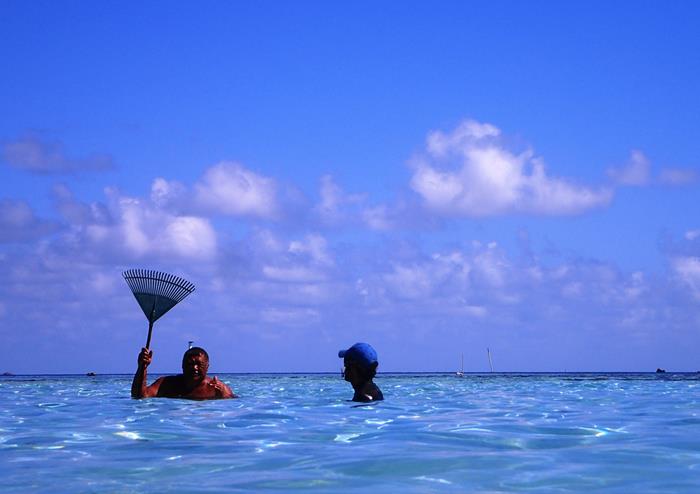 euh &hellip; le rateau