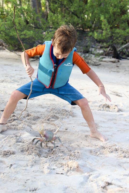 Guigui l&rsquo;ami des bêtes