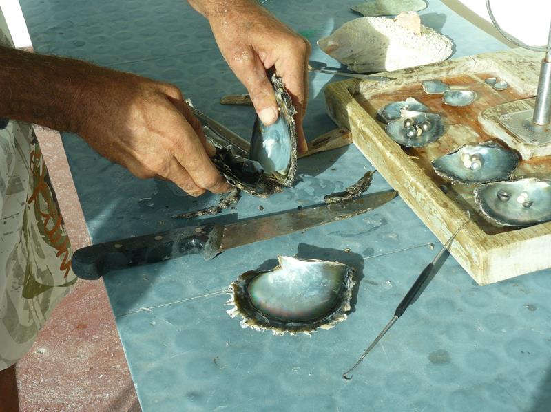 petit cours de perle