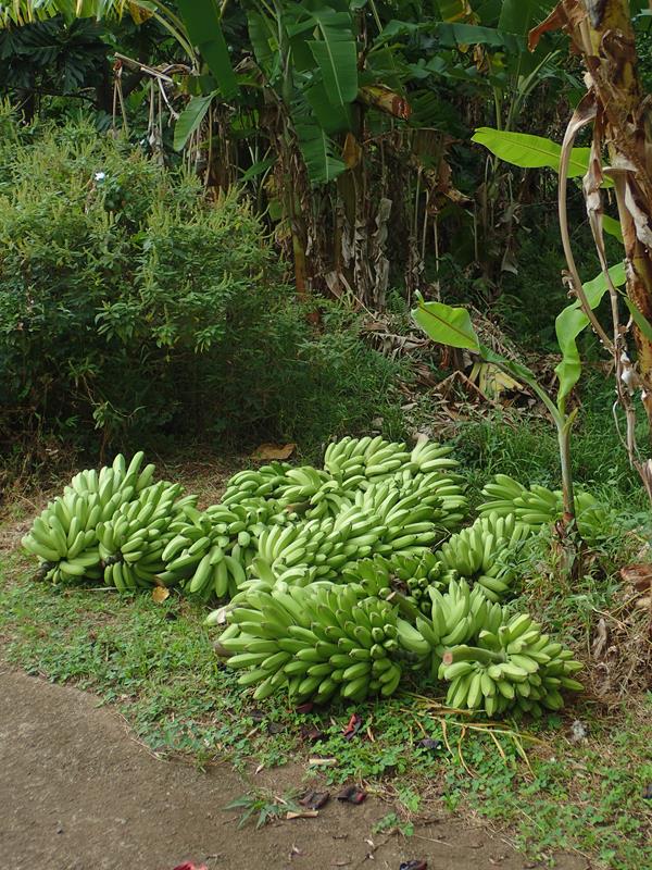 sur le bord des routes