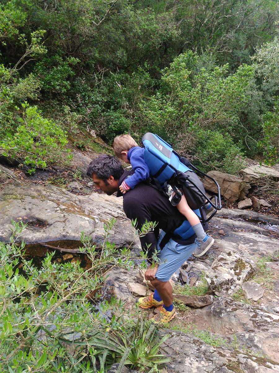 A la recherche des têtards