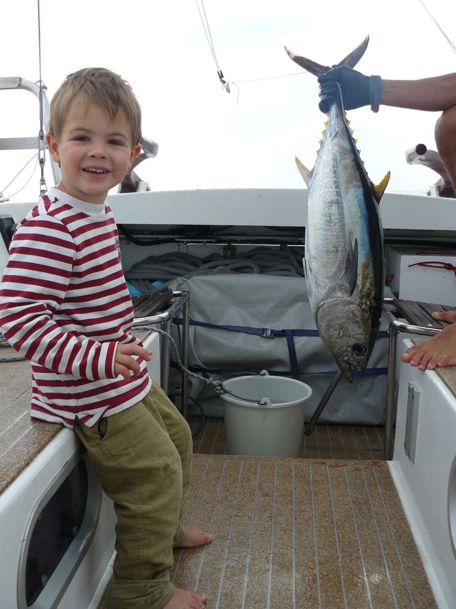 lequel va t on manger ?