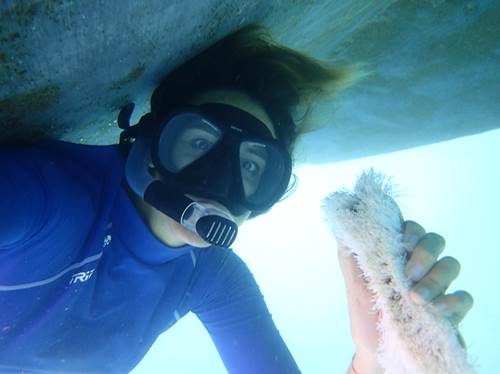 carénage de mon gros Karemo