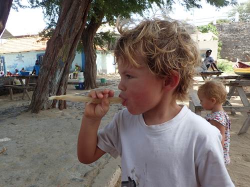 de la canne a sucre pour tous