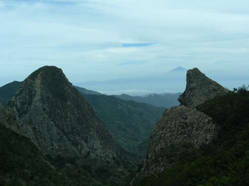 dedicace aux Montpellierains