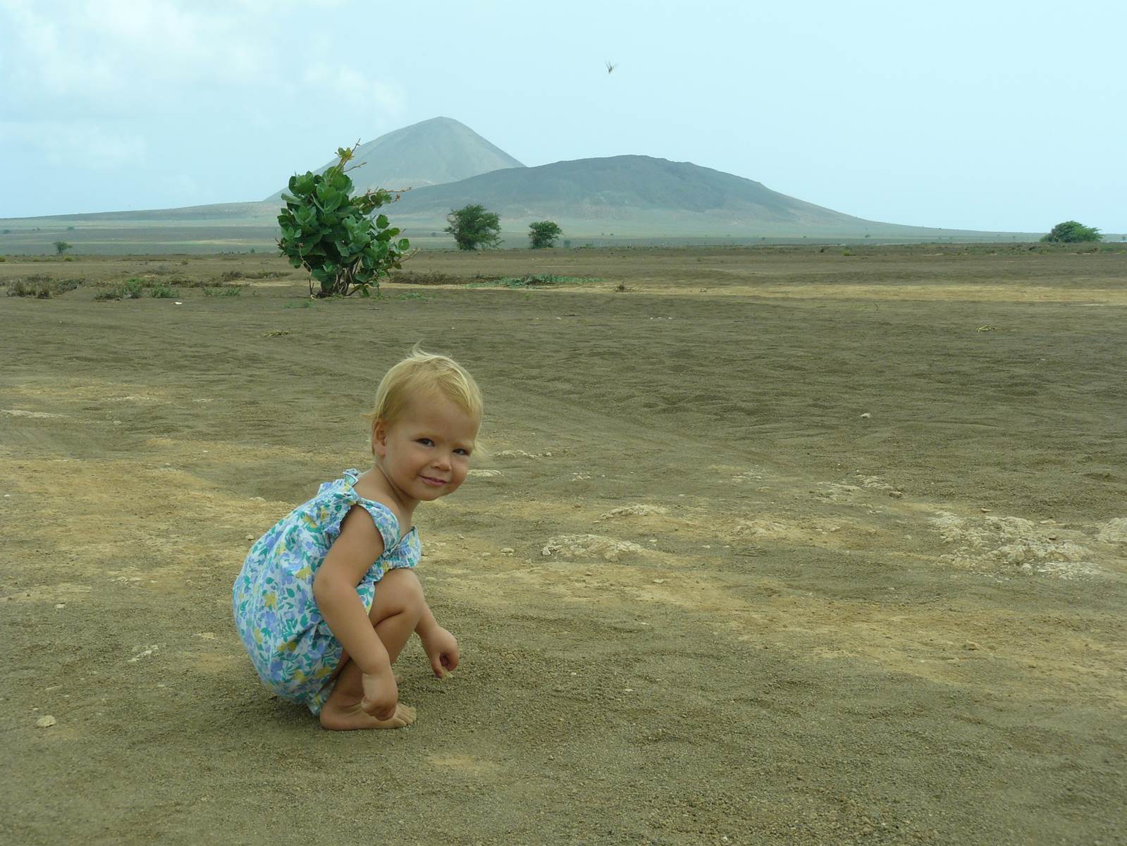 petite Cabo Verdienne